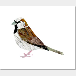 Bird - Sparrow Posters and Art